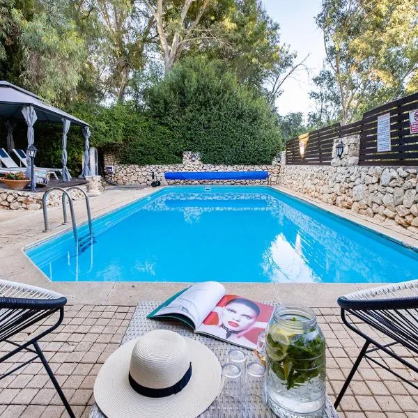 THE HOUSE ROSH PINA - 2BRM WITH POOl，位于罗什平纳的酒店