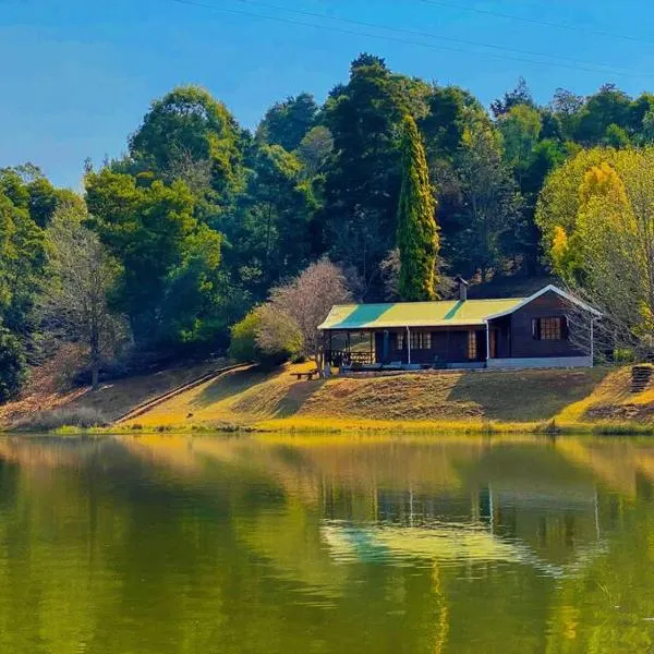 Brentwood Cottage，位于贝尔法斯特的酒店