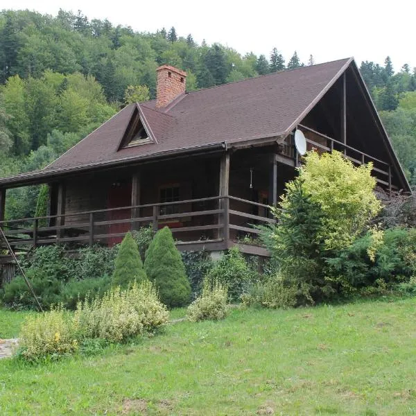 Domek Wypoczynkowy OSTOJA，位于巴利格鲁德的酒店