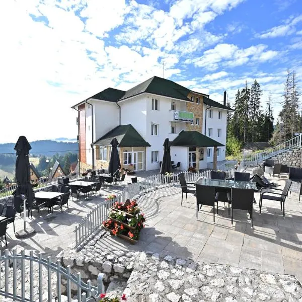 Konak Vuk，位于新瓦罗什的酒店