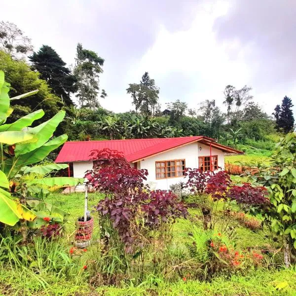 LODGE NATAN，位于Cariaco的酒店