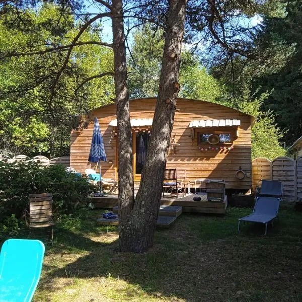 Chalet grenouille Domaine de la Mamounette，位于Fay-sur-Lignon的酒店