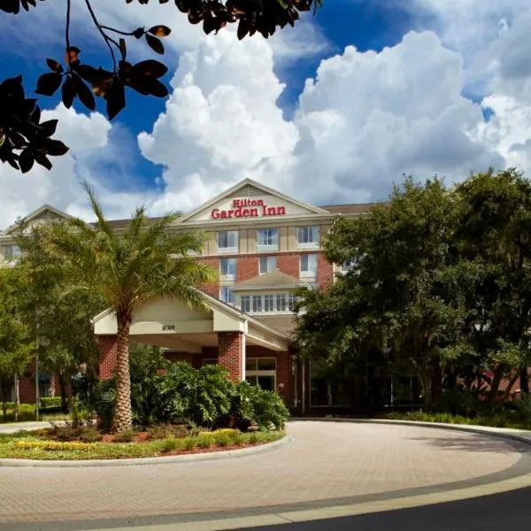 Hilton Garden Inn Tampa East Brandon，位于Valrico的酒店