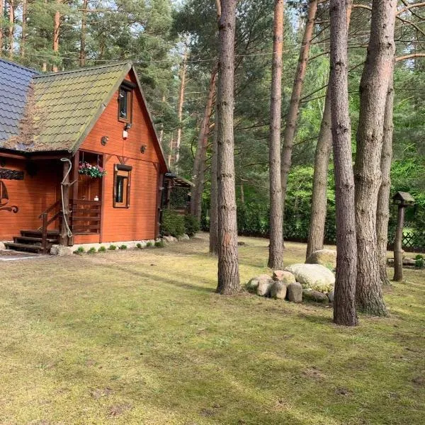 Całoroczny Domek Oliwia DELUX na wyłączność，位于鲁比亚托沃的酒店