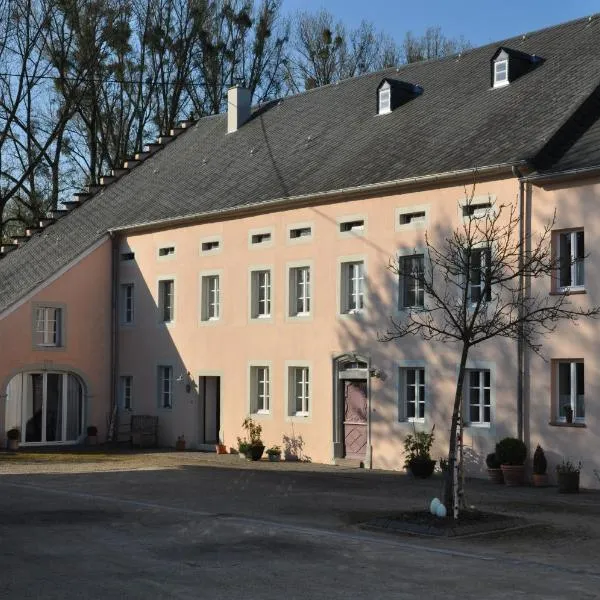 Alte Schmiede in denkmalgeschützter Hofanlage，位于Messerich的酒店
