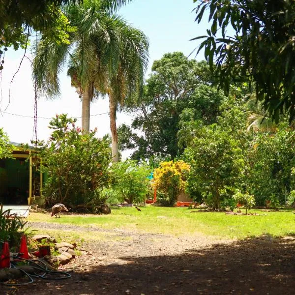 La Casa de Vida Natural，位于Vieques的酒店