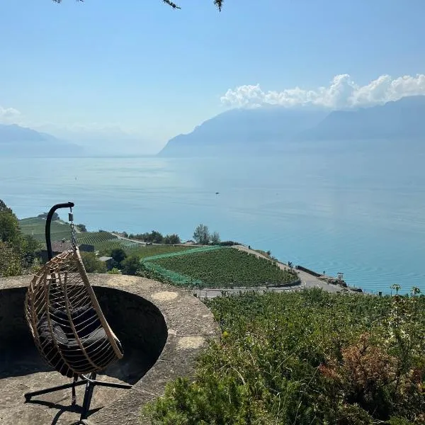 Panoramic Room in the vineyard,stunning views of lake and Alps，位于拉图尔德佩的酒店