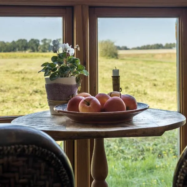 Apartment Lüneburger Heide，位于Hankensbüttel的酒店