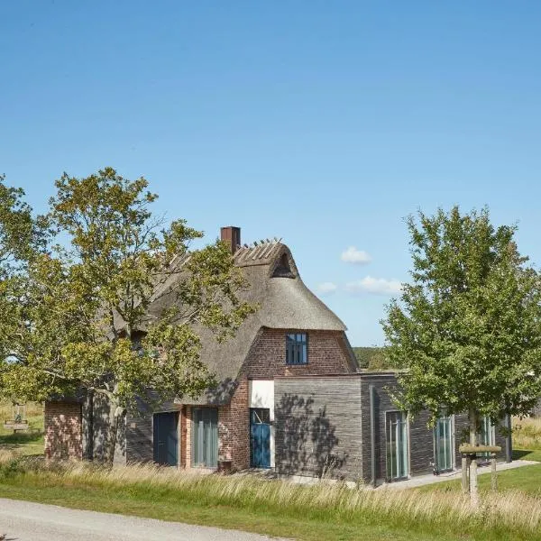 Reetdorf Geltinger Birk Atelierhaus Sandbank，位于Nieby的酒店