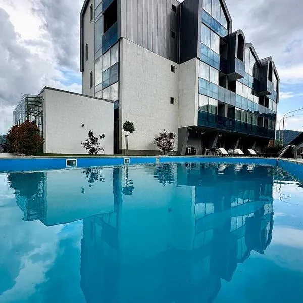 Hotel Arka，位于奥尔绍瓦的酒店