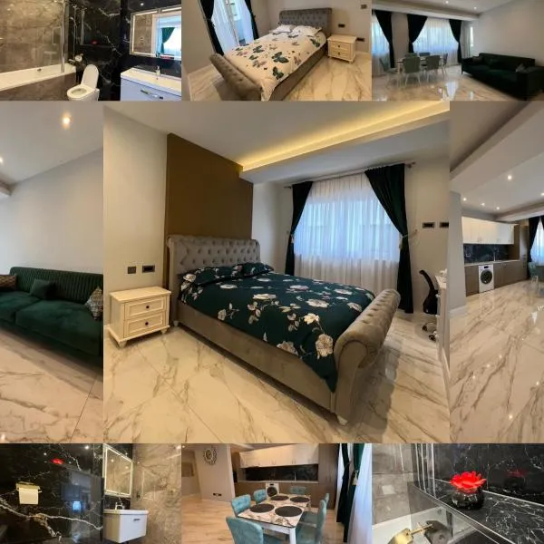 Luxury Accommodation Radauti，位于勒德乌齐的酒店