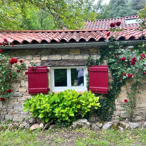 Chambre en bordure d'Aveyron，位于圣昂托南的酒店