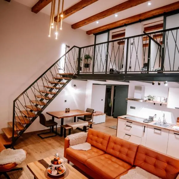 Apartman Saturn，位于奥西耶克的酒店