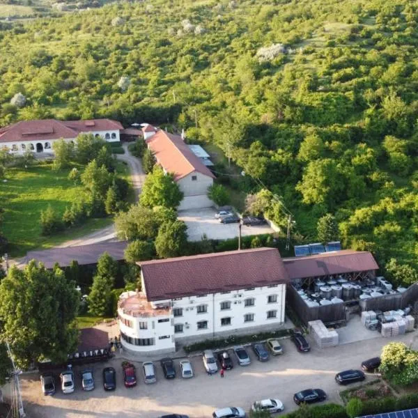 丘陵酒店，位于Valea Călugărească的酒店