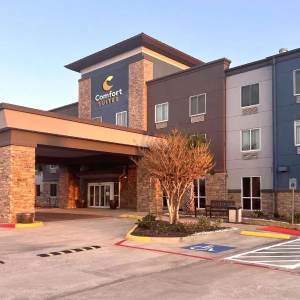 Comfort Suites Seabrook - Kemah，位于Bacliff的酒店