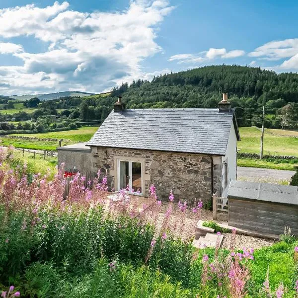 Nettlebush Cottage-Uk5629，位于Drummelzier的酒店