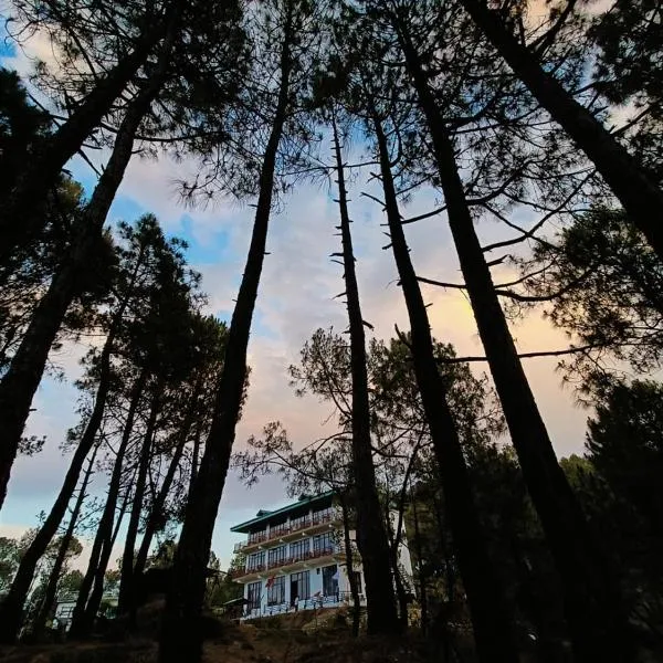 Lap Of Himalayas Resort，位于考萨尼的酒店