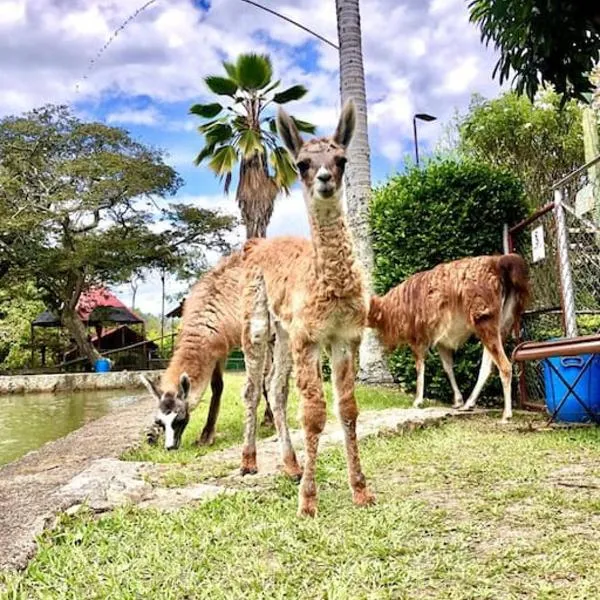 Casa de campo Cutucumay，位于富萨加苏加的酒店