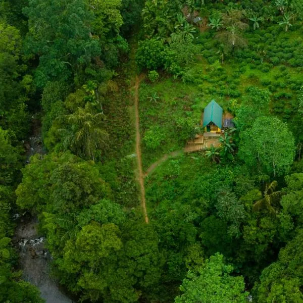 Rainforest cabin，位于代尼耶耶的酒店