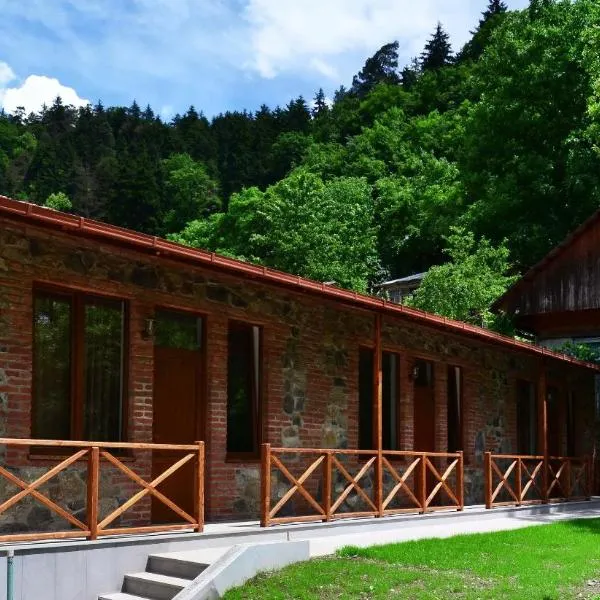 Borjomi Cottages，位于博尔若米的酒店