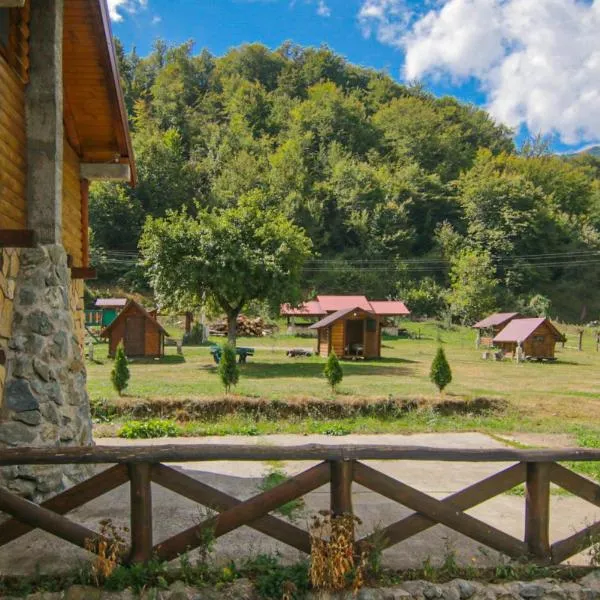 Camp &Apartmens Scepanovic，位于Bistrica的酒店