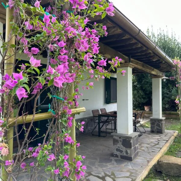 Agriturismo Iride，位于博尔塞纳的酒店