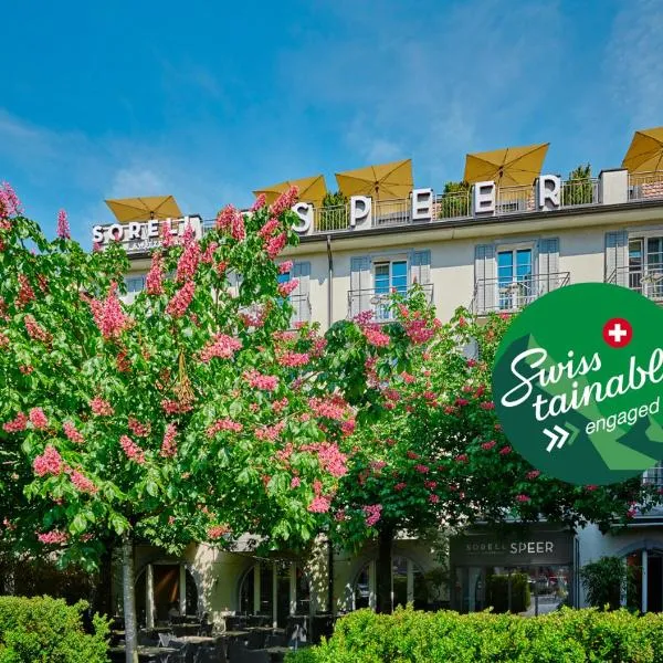 斯皮尔索雷尔酒店，位于Schmerikon的酒店