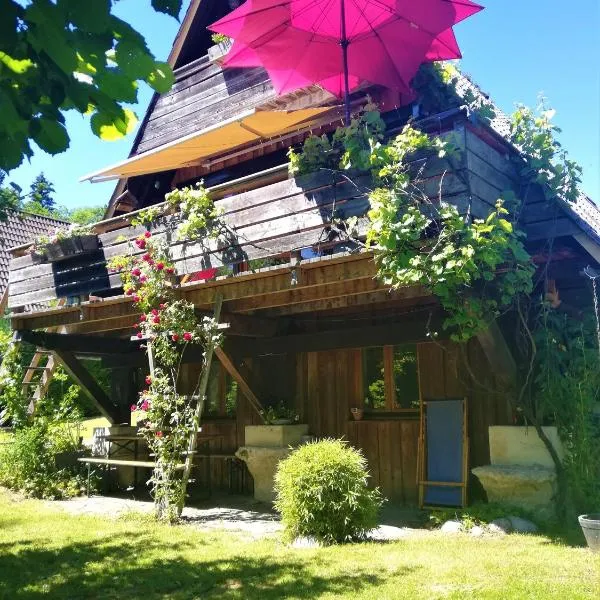Charmantes Ferienhaus mit Garten，位于希格斯多夫的酒店