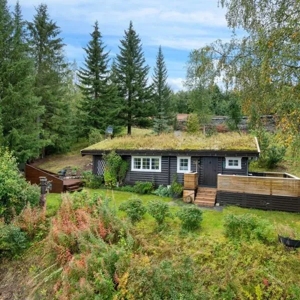 Gaulabua - cozy cabin by the river Gaula，位于Haltdalen的酒店