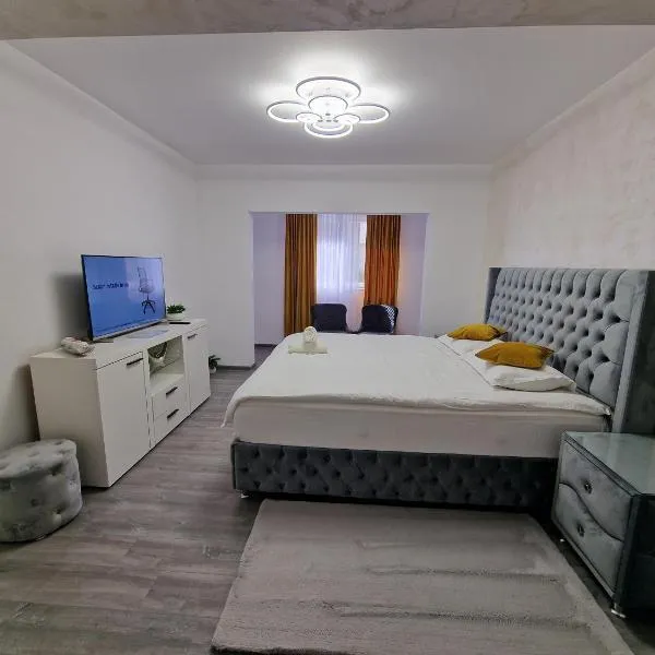 Apartament AlyNuț，位于伯伊莱海尔库拉内的酒店