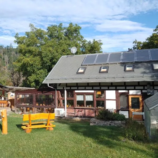 Gaststätte und Pension Vorwerk Altenroth，位于Drognitz的酒店