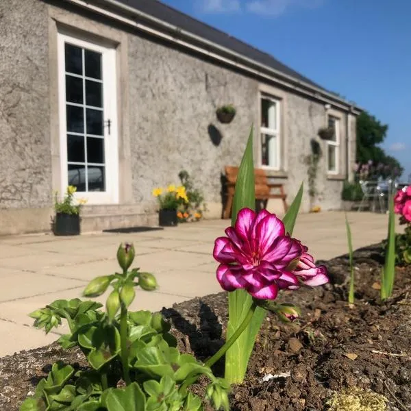 Ballyconnelly Cottages, Galgorm area，位于Cullybackey的酒店