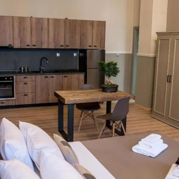 City Loft 2 (Stamatina's Luxury Apartments)，位于亚历山德鲁波利斯的酒店