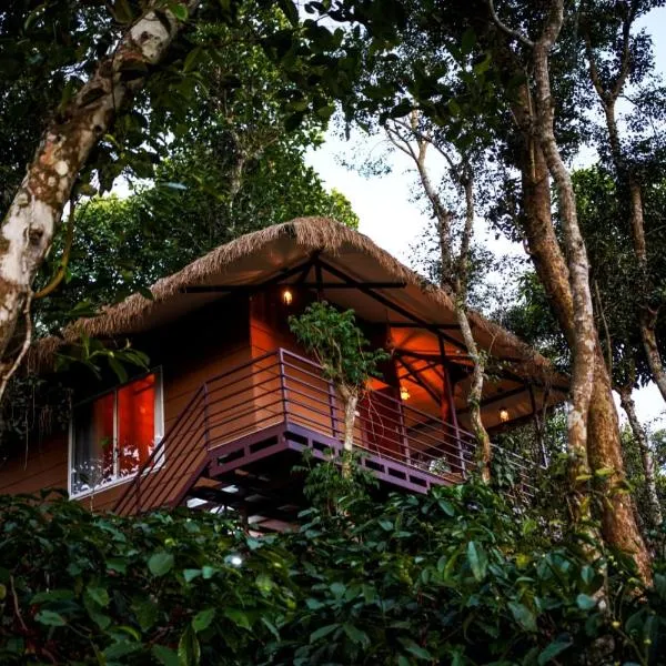 Coffee Cradle Wayanad Luxuorios Private Tree House - Inside 2 Acre Coffee Plantation Wetlands Wayanad Resort with Natural Waterfalls #SecureWayanadTreeHouse，位于玛纳多迪的酒店