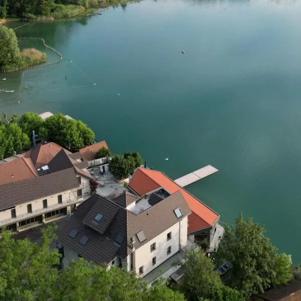 La Villa du Lac，位于Saint-Alban-de-Montbel的酒店