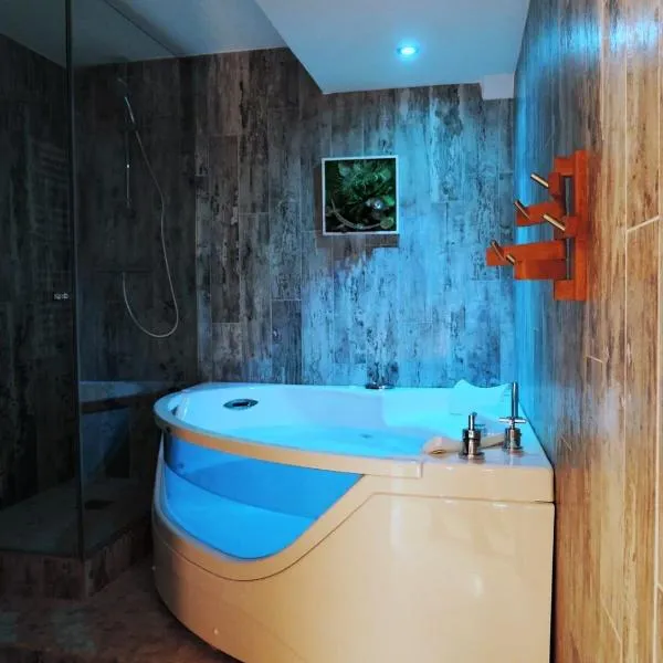 Le Cocon - Lofts & Lakes certified 4-stars，位于安锡的酒店