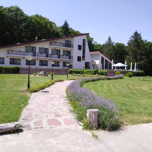 Hotel Kovanlika 2，位于Sadina的酒店
