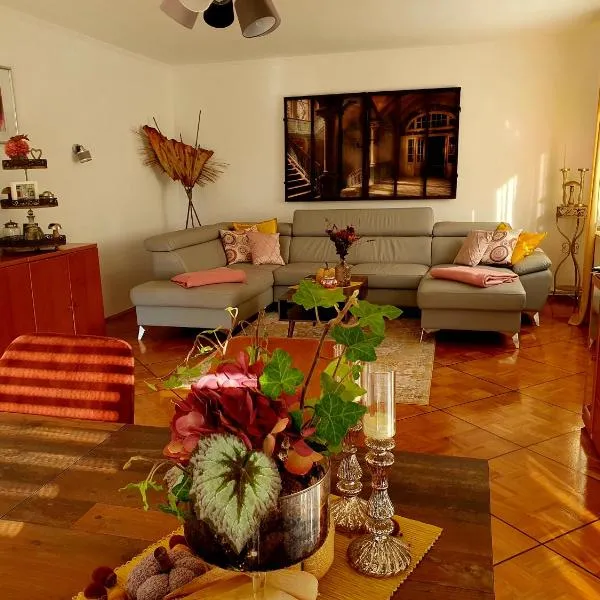 2 Zimmer Domizil am Südhang mit Terrasse und Pool，位于Ortenberg的酒店
