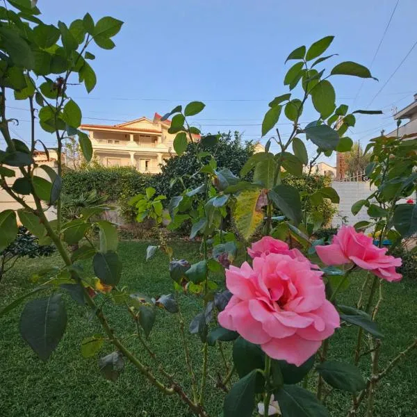 New green house，位于Kamëz的酒店