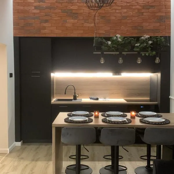 6 OSOBOWY apartament PREMIUM w KAMIENICY - CENTRUM，位于乔左维尔考普尔斯基的酒店