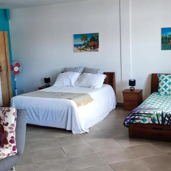 appartement Villa Nancy，位于图阿马西纳的酒店