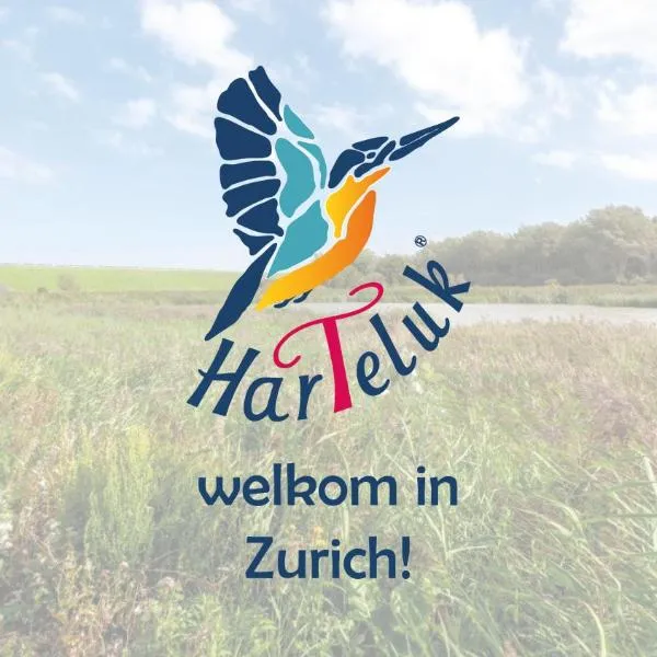 HarTeluk Afsluitdijk Zurich，位于Achlum的酒店