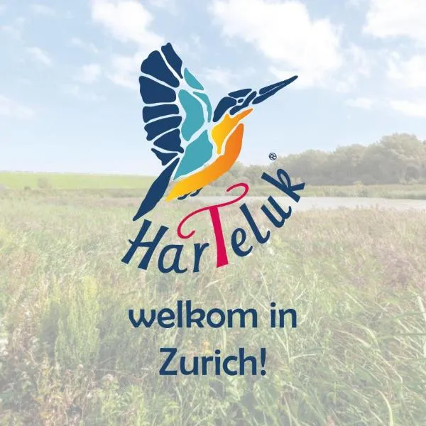 HarTeluk Afsluitdijk Zurich，位于Schettens的酒店