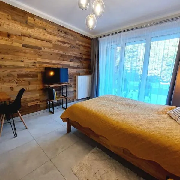 Mountain Lodge Studio Forset View，位于索斯诺夫卡的酒店