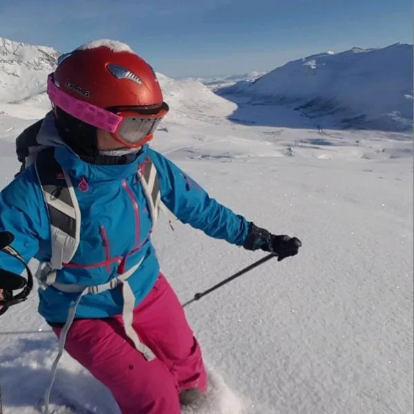 Idyllisk hus med sauna og jacuzzi, Lyngen，位于Nord-Lenangen的酒店