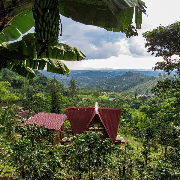 Acogedora Cabañita, hermosa vista en Monte Jazmín，位于Palestina的酒店