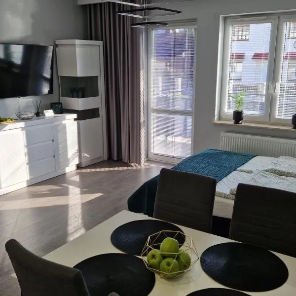 Apartament Gimnazjalna Prestige，位于大谢尔皮亚的酒店