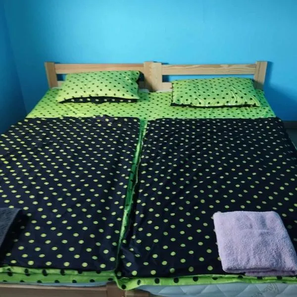 Csontváry27 apartman，位于布达佩斯的酒店