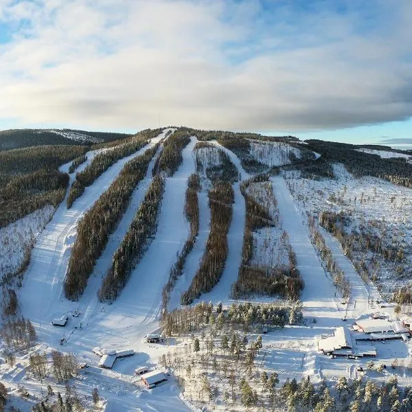 Hassela Ski Resort，位于Berge的酒店