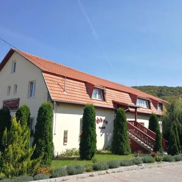 Ódon Panzió，位于Répáshuta的酒店